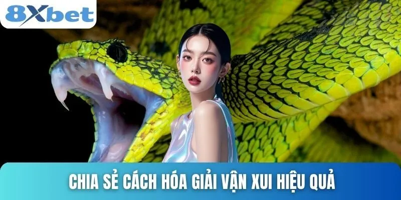 Giải Mã Giấc Mơ Bị Rắn Cắn - Những Con Số May Mắn Nhất 5 Chia sẻ cách hóa giải vận xui hiệu quả