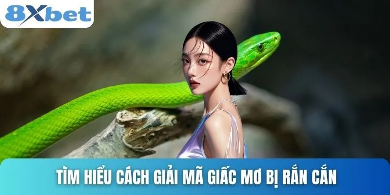 Giải Mã Giấc Mơ Bị Rắn Cắn - Những Con Số May Mắn Nhất 2 Tìm hiểu cách giải mã giấc mơ bị rắn cắn