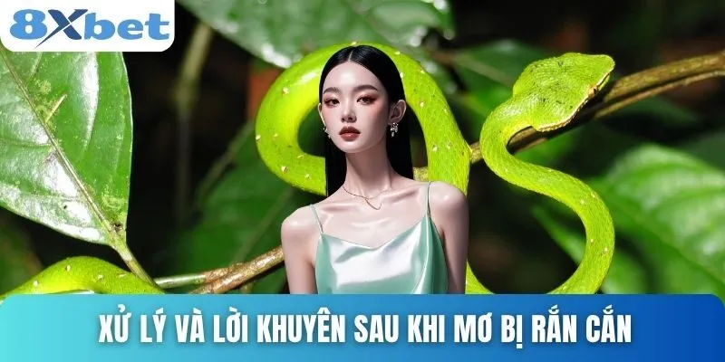 Giải Mã Giấc Mơ Bị Rắn Cắn - Những Con Số May Mắn Nhất 4 Xử lý và lời khuyên sau khi mơ bị rắn cắn
