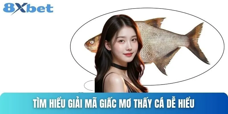 Giải Mã Giấc Mơ Thấy Cá - Bí Ẩn Và Con Số May Mắn 2 Tìm hiểu giải mã giấc mơ thấy cá dễ hiểu