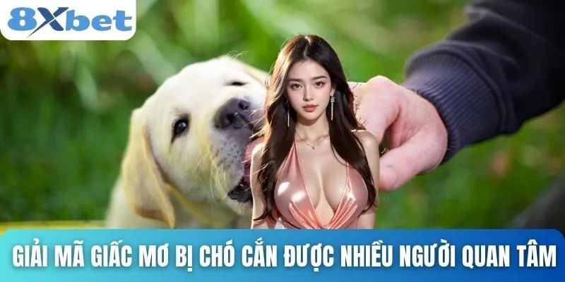 Giải Mã Giấc Mơ Bị Chó Cắn Và Những Điềm Báo Bất Ngờ 2 Giải mã giấc mơ bị chó cắn được nhiều người quan tâm