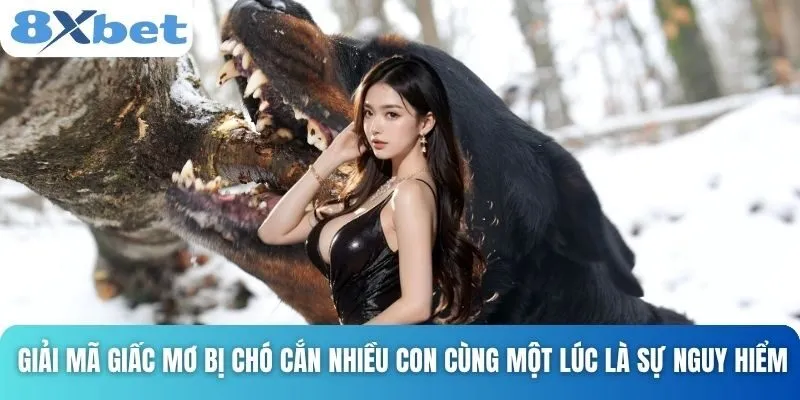Giải Mã Giấc Mơ Bị Chó Cắn Và Những Điềm Báo Bất Ngờ 5 Giải mã giấc mơ bị chó cắn nhiều con cùng một lúc là sự nguy hiểm