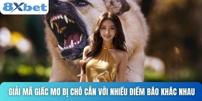 Giải Mã Giấc Mơ Bị Chó Cắn Và Những Điềm Báo Bất Ngờ 3 Giải mã giấc mơ bị chó cắn với nhiều điềm báo khác nhau