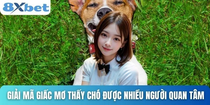 Giải Mã Giấc Mơ Thấy Chó Và Những Con Số Tài Lộc Cùng 8xbet 2 Giải mã giấc mơ thấy chó được nhiều người quan tâm