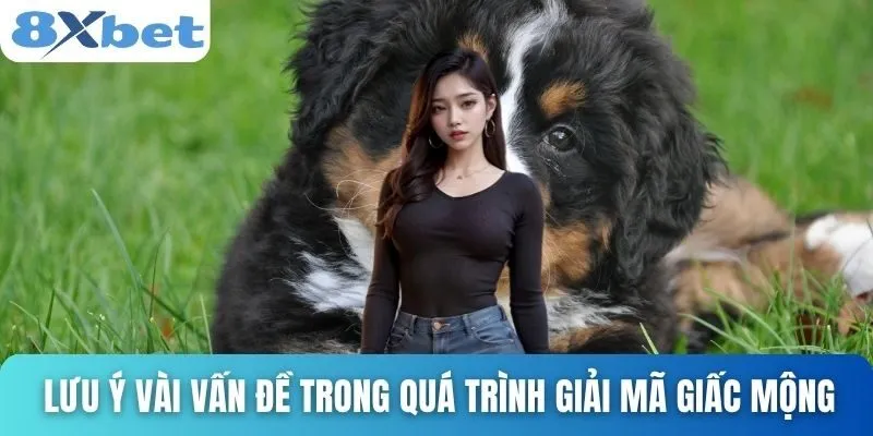 Giải Mã Giấc Mơ Thấy Chó Và Những Con Số Tài Lộc Cùng 8xbet 5 Lưu ý vài vấn đề trong quá trình giải mã giấc mộng