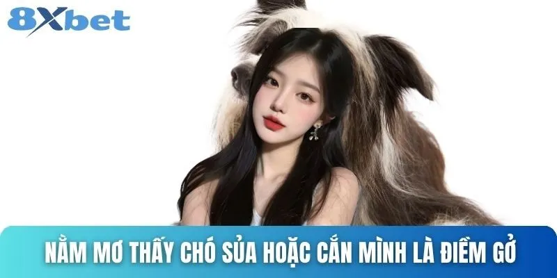 Giải Mã Giấc Mơ Thấy Chó Và Những Con Số Tài Lộc Cùng 8xbet 4 Nằm mơ thấy chó sủa hoặc cắn mình là điềm gở