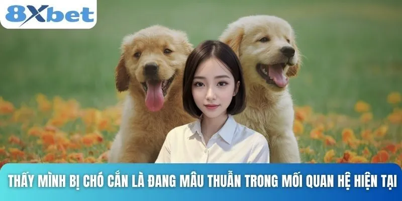 Giải Mã Giấc Mơ Thấy Chó Và Những Con Số Tài Lộc Cùng 8xbet 3 Thấy mình bị chó cắn là đang mâu thuẫn trong mối quan hệ hiện tại