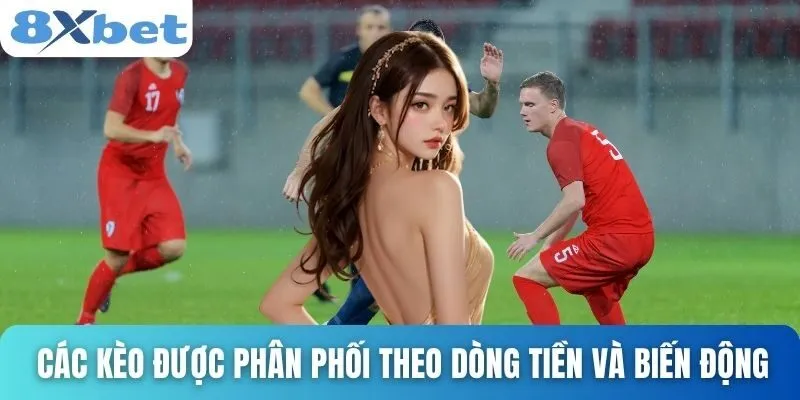 Cách Đánh Kèo Châu Âu Chuẩn Xác Theo Từng Loại Trận Đấu 4 Các kèo được phân phối theo dòng tiền và biến động